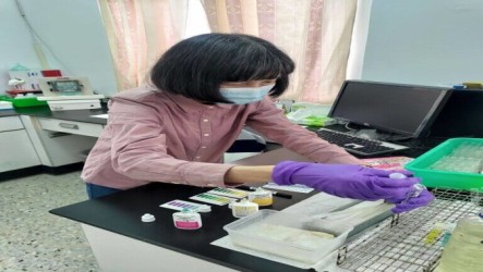 高雄公布動物疾病檢驗統計　禽流感「全陰性」