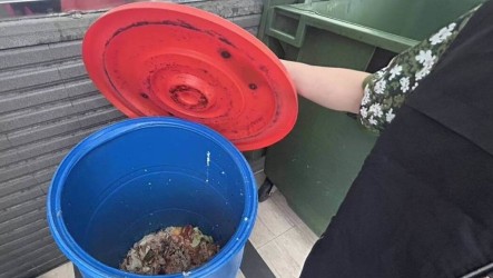 115年家戶廚餘禁養豬　中市近9成社區清運問題獲解