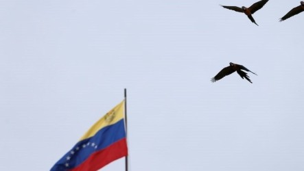 委內瑞拉動盪　總統府附近爆槍響