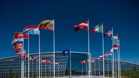 反制川普覬覦野心　格陵蘭：將有更多北約部隊進駐