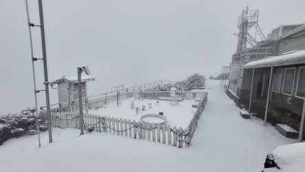 玉山上午降雪　雪深已達4公分