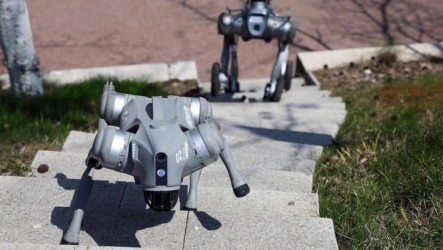 美跨黨派議員擬推法案　禁止政府使用中國製機器人