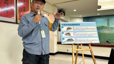 北市籲建鼠類監測模型　擬擴大執行籠夜法估算