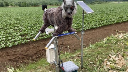 日本熊襲頻傳　北海道公司生產機器狼嚇熊接大量訂單