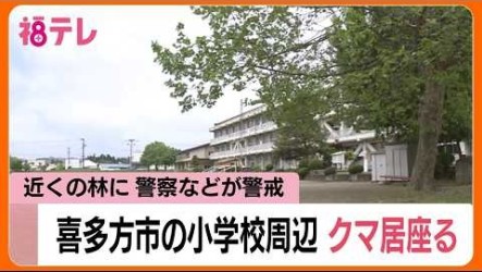 日本福島有熊出沒　小學生上學途中緊急避難
