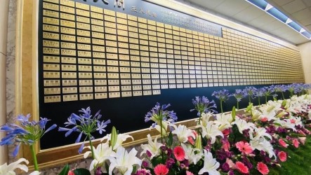 醫護化身「擺渡人」 盼用理解縫合生死