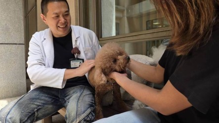 陪伴犬萌力無法擋　大千南勢醫院納精神復健治療課