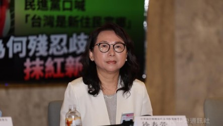 徐春鶯涉反滲透法200萬交保　8/11宣判