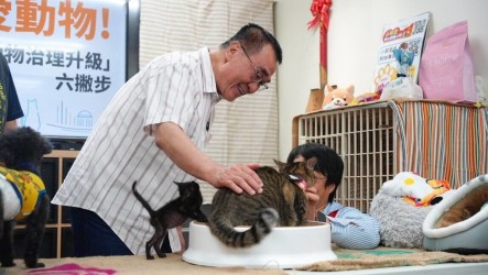 李四川推6大動保政見 蘇巧慧允打造友善育兒職場