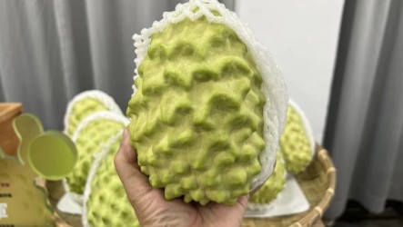 鳳梨釋迦引討論 農民：最大問題是中國課29%稅