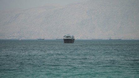 長榮海運長麗輪遇襲　國際海事組織暫停護航行動