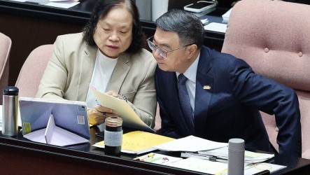 徐佳青被指濫用外館資源　卓榮泰盼3個月提調查結果