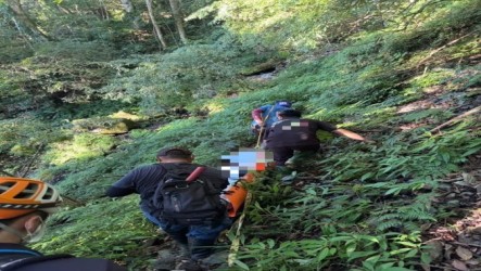男子疑獨自上山採藥命喪林班地　警消徒步搬運下山