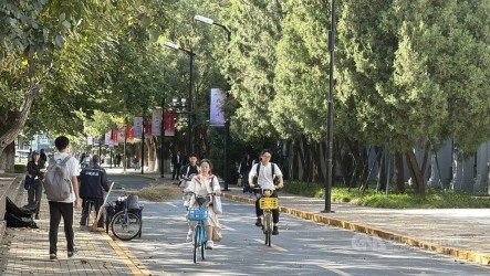 中國就業市場因AI變化  逼著家長和學校都在改變