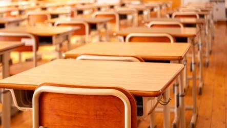 中小學AI應用手冊發布　教發問技巧、防AI鬼扯