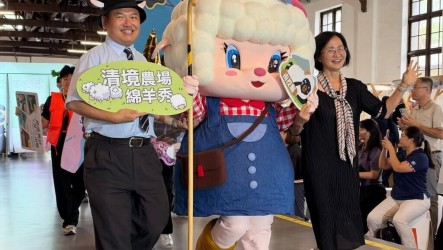 南投清境農場拚觀光　羊毛手作體驗北上吸客