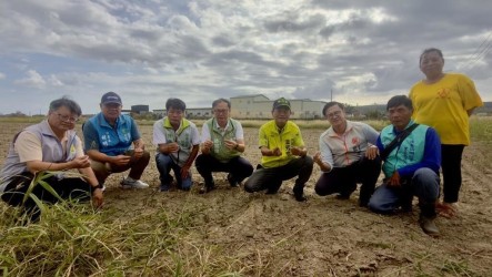 颱風薔琵強風鹽霧傷恆春半島農作　徐富癸籲加速救助